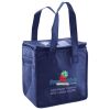 Lunch Tote  Insulated Thumbnail