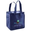 Lunch Tote  Insulated Thumbnail