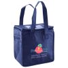 Lunch Tote  Insulated Thumbnail