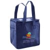 Lunch Tote  Insulated Thumbnail