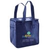 Lunch Tote  Insulated Thumbnail