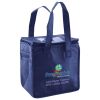 Lunch Tote  Insulated Thumbnail