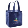 Lunch Tote  Insulated Thumbnail