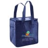 Lunch Tote  Insulated Thumbnail