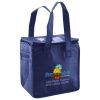 Lunch Tote  Insulated Thumbnail
