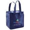 Lunch Tote  Insulated Thumbnail