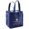 Lunch Tote  Insulated Thumbnail