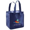 Lunch Tote  Insulated Thumbnail