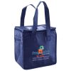 Lunch Tote  Insulated Thumbnail