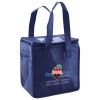 Lunch Tote  Insulated Thumbnail