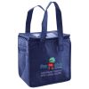 Lunch Tote  Insulated Thumbnail