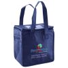 Lunch Tote  Insulated Thumbnail
