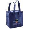 Lunch Tote  Insulated Thumbnail