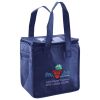 Lunch Tote  Insulated Thumbnail