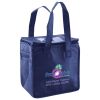 Lunch Tote  Insulated Thumbnail