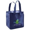 Lunch Tote  Insulated Thumbnail