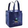 Lunch Tote  Insulated Thumbnail