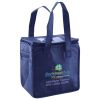 Lunch Tote  Insulated Thumbnail