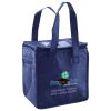 Lunch Tote  Insulated Thumbnail