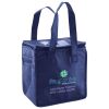 Lunch Tote  Insulated Thumbnail
