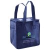 Lunch Tote  Insulated Thumbnail