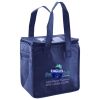 Lunch Tote  Insulated Thumbnail