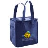 Lunch Tote  Insulated Thumbnail
