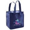Lunch Tote  Insulated Thumbnail