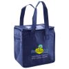 Lunch Tote  Insulated Thumbnail