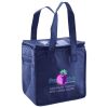 Lunch Tote  Insulated Thumbnail