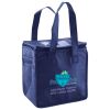 Lunch Tote  Insulated Thumbnail