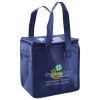 Lunch Tote  Insulated Thumbnail
