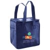 Lunch Tote  Insulated Thumbnail