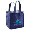 Lunch Tote  Insulated Thumbnail
