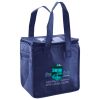 Lunch Tote  Insulated Thumbnail