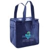 Lunch Tote  Insulated Thumbnail