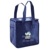 Lunch Tote  Insulated Thumbnail