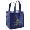 Lunch Tote  Insulated Thumbnail