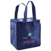Lunch Tote  Insulated Thumbnail