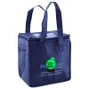 Lunch Tote  Insulated Thumbnail