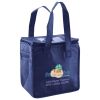 Lunch Tote  Insulated Thumbnail