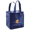 Lunch Tote  Insulated Thumbnail