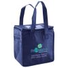 Lunch Tote  Insulated Thumbnail