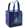 Lunch Tote  Insulated Thumbnail