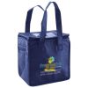 Lunch Tote  Insulated Thumbnail