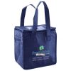 Lunch Tote  Insulated Thumbnail