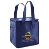 Lunch Tote  Insulated Thumbnail