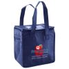 Lunch Tote  Insulated Thumbnail