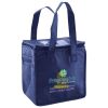 Lunch Tote  Insulated Thumbnail