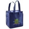 Lunch Tote  Insulated Thumbnail